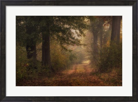 Framed Autumn&#39;s Walk III Print