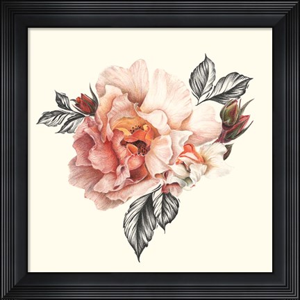 Framed Light of Day Rose I Print