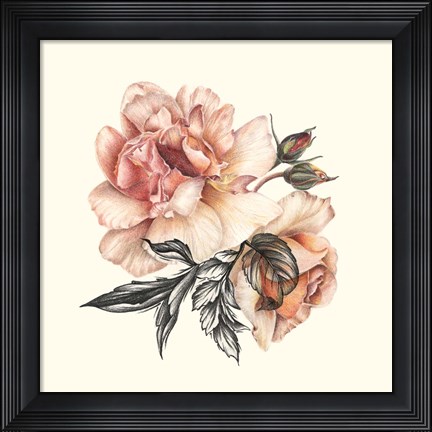 Framed Light of Day Rose II Print