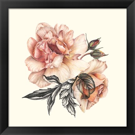 Framed Light of Day Rose II Print