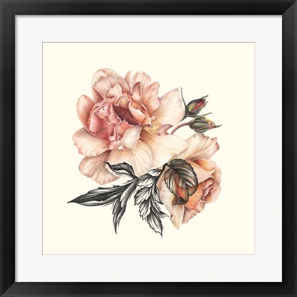 Framed Light of Day Rose II Print