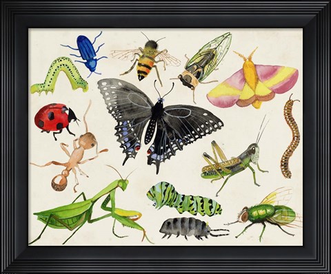 Framed Bugdom I Print