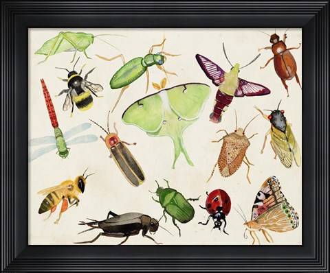 Framed Bugdom II Print