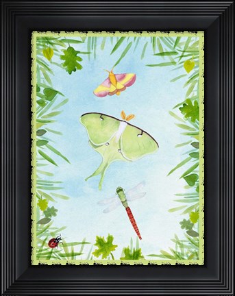 Framed Bug Collector I Print
