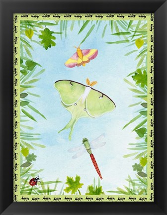 Framed Bug Collector I Print