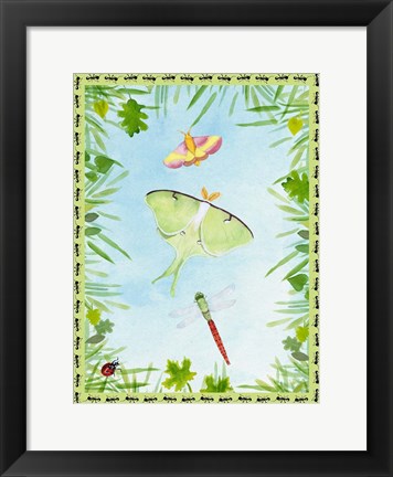 Framed Bug Collector I Print