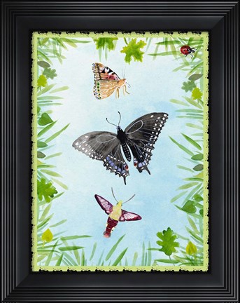 Framed Bug Collector II Print