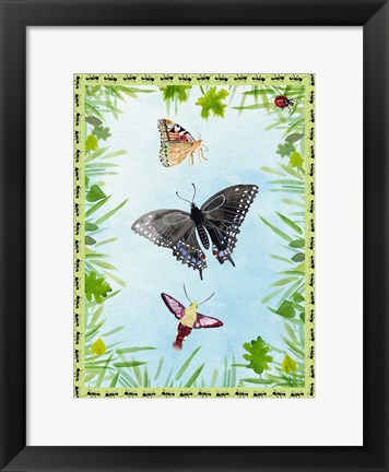 Framed Bug Collector II Print