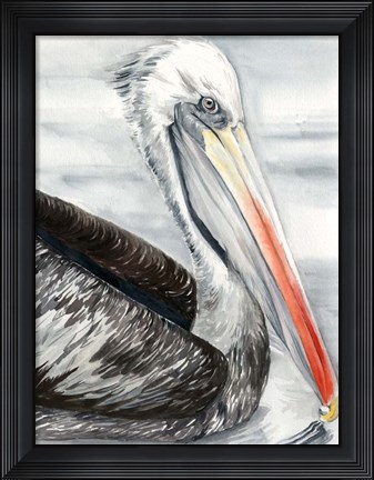 Framed Grey Pelican I Print