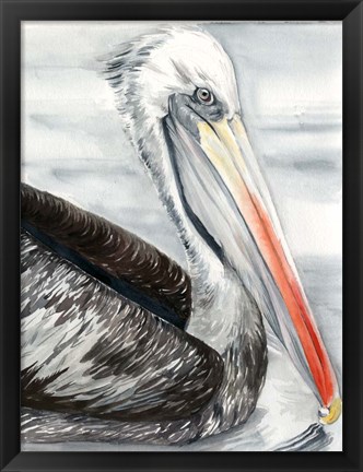 Framed Grey Pelican I Print