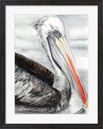 Framed Grey Pelican I Print