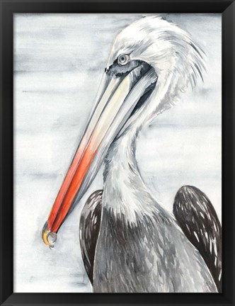 Framed Grey Pelican II Print