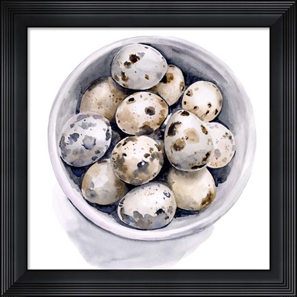 Framed Quail Egg Study II Print