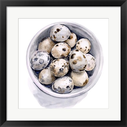 Framed Quail Egg Study II Print