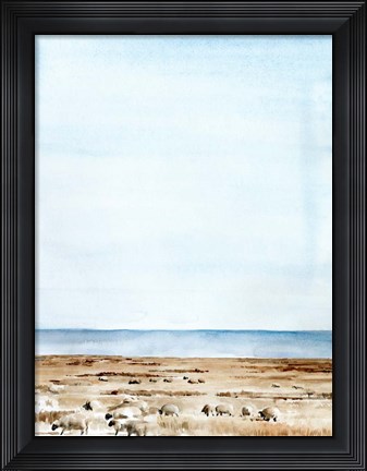 Framed Scottish Ewes I Print
