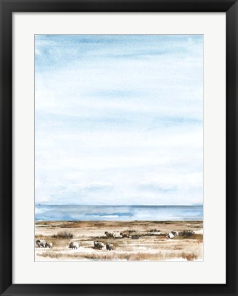 Framed Scottish Ewes II Print