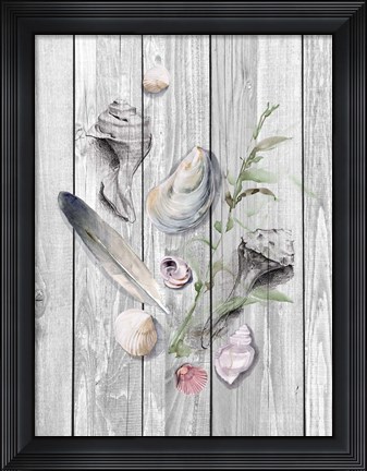 Framed Drifted Ashore II Print