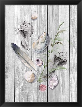 Framed Drifted Ashore II Print