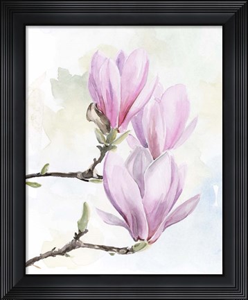 Framed Magnolia Blooms I Print