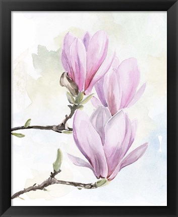 Framed Magnolia Blooms I Print