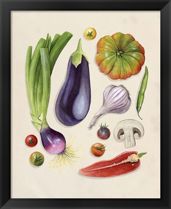 Framed Vegetable Garden I Print