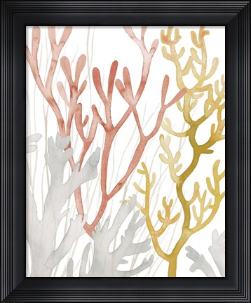 Framed Desert Coral I Print