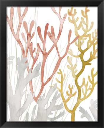 Framed Desert Coral I Print