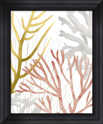 Framed Desert Coral II Print
