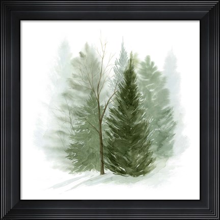 Framed Walk in the Woods I Print