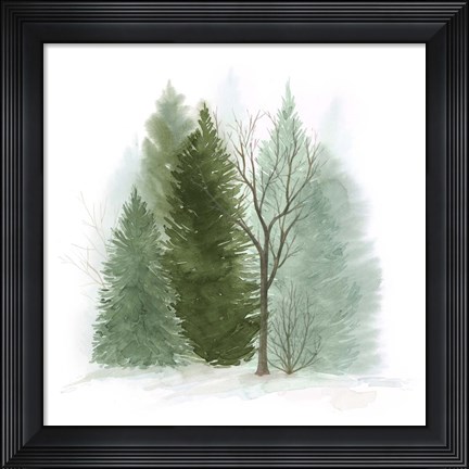 Framed Walk in the Woods II Print