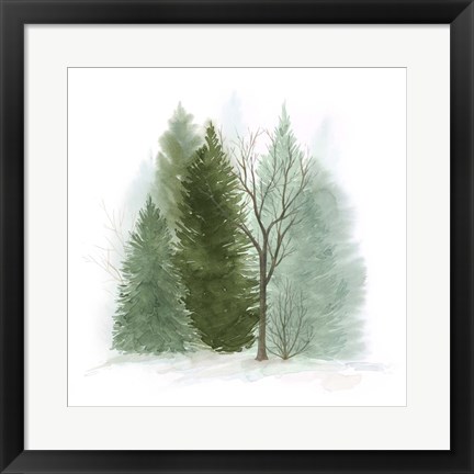 Framed Walk in the Woods II Print