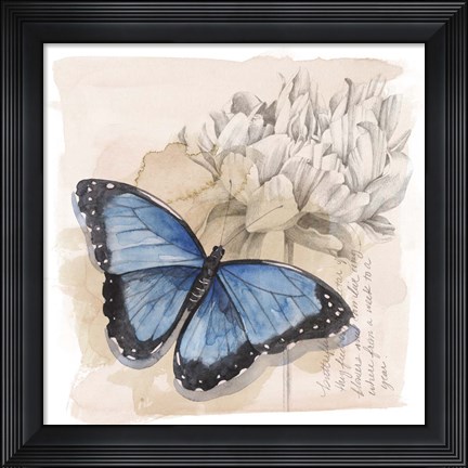Framed Shadow Box Butterfly II Print