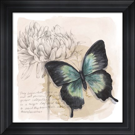 Framed Shadow Box Butterfly III Print