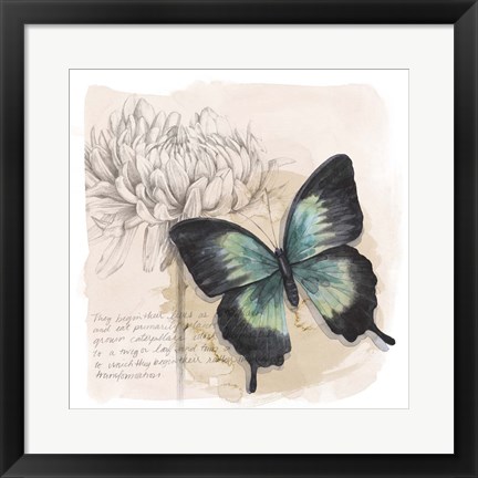 Framed Shadow Box Butterfly III Print