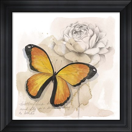 Framed Shadow Box Butterfly IV Print