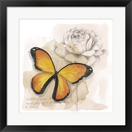 Framed Shadow Box Butterfly IV Print