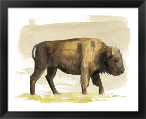 Framed Bison Watercolor Sketch I Print