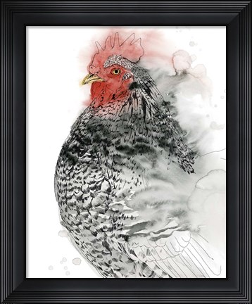 Framed Plymouth Rooster I Print