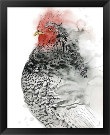 Framed Plymouth Rooster I Print