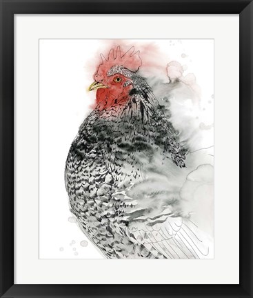 Framed Plymouth Rooster I Print