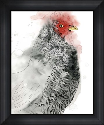 Framed Plymouth Rooster II Print
