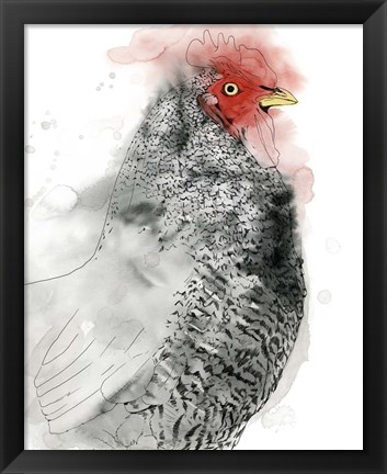 Framed Plymouth Rooster II Print
