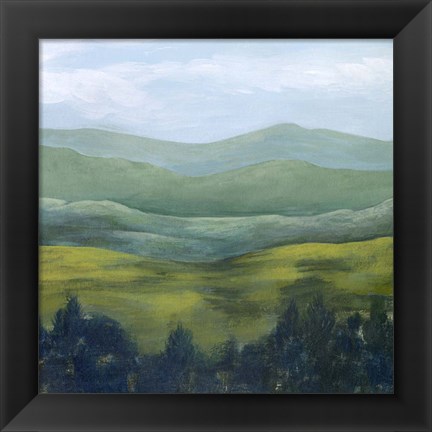 Framed Open Valley II Print