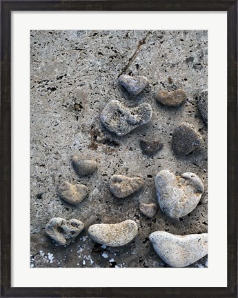 Framed Gifts of the Shore VI Print