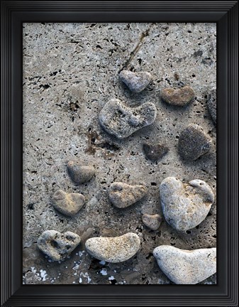 Framed Gifts of the Shore VI Print