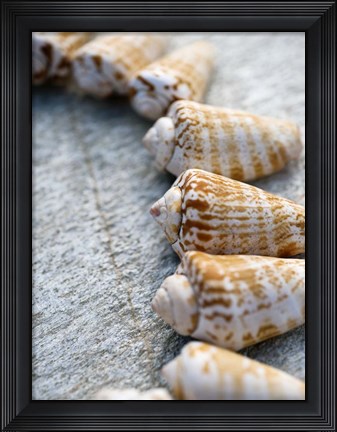 Framed Gifts of the Shore X Print