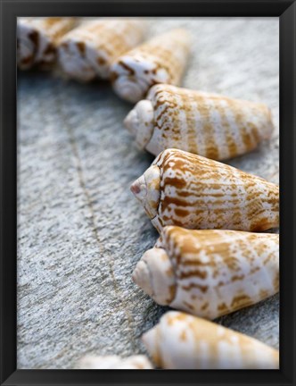Framed Gifts of the Shore X Print
