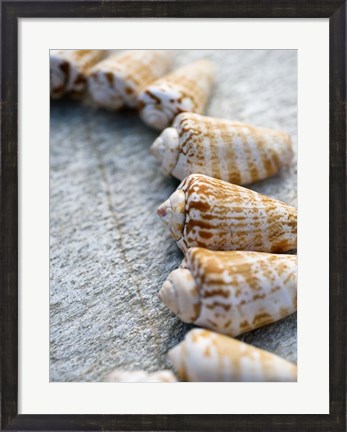 Framed Gifts of the Shore X Print
