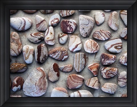 Framed Gifts of the Earth I Print