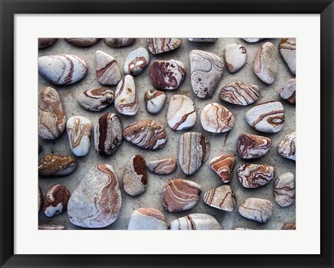 Framed Gifts of the Earth I Print